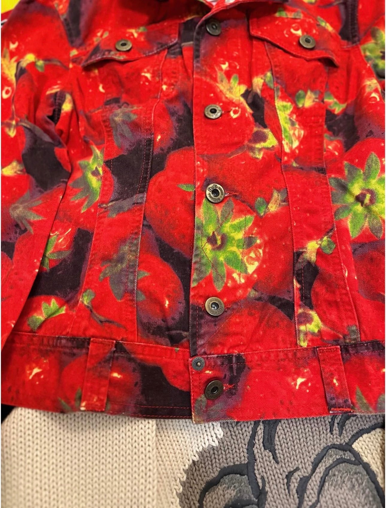 Vintage 2000s Dolce & Gabbana Strawberry Jacket